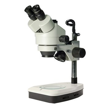 XTL-165立柱系列连续变倍体视显微镜