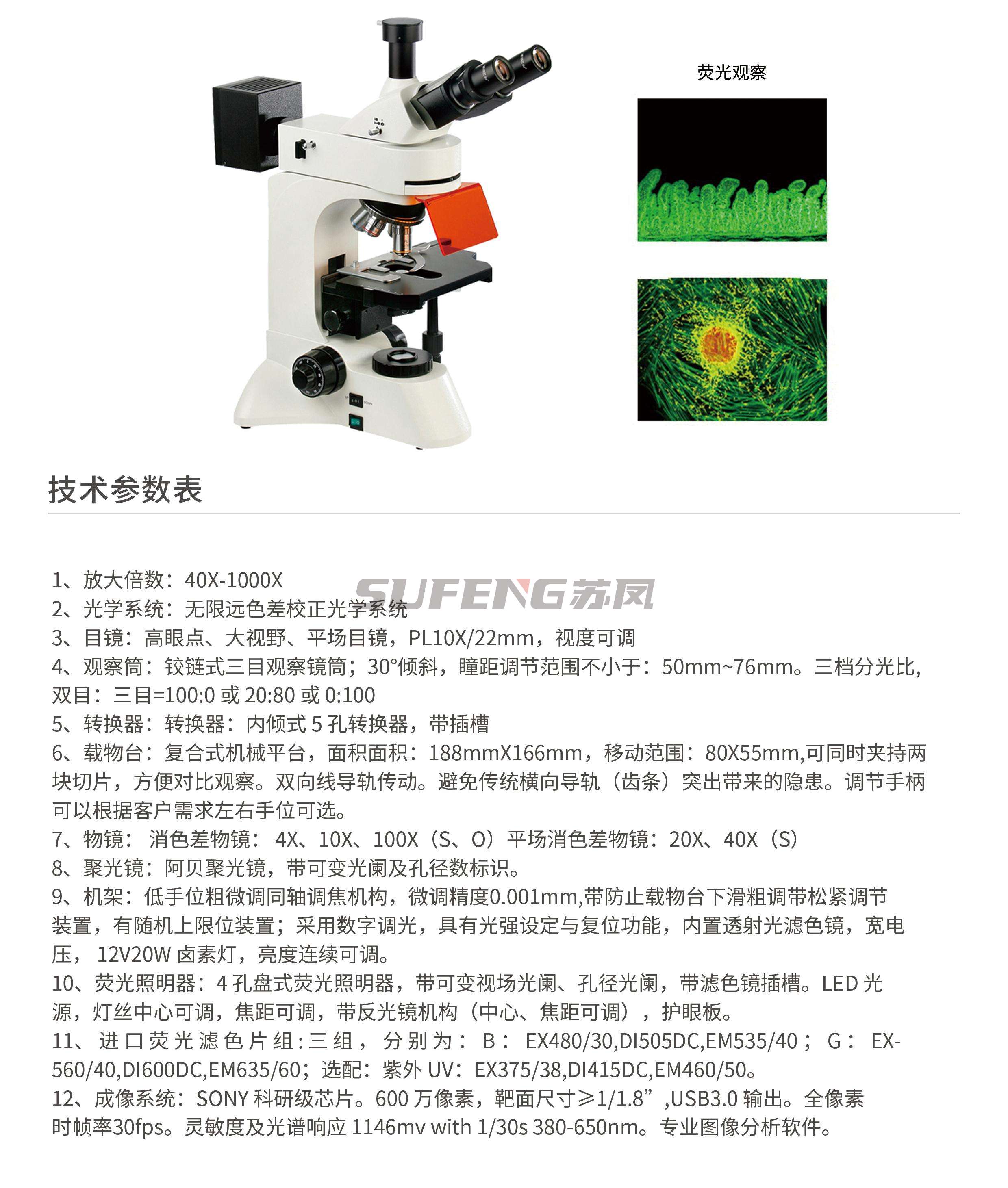 PH-YG3230.jpg