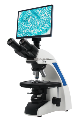 XSP-80i Three-way biological microscope parameters