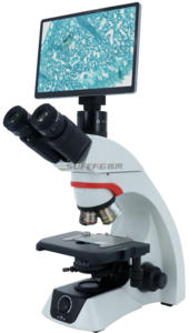 CX-33 Biological microscope parameters
