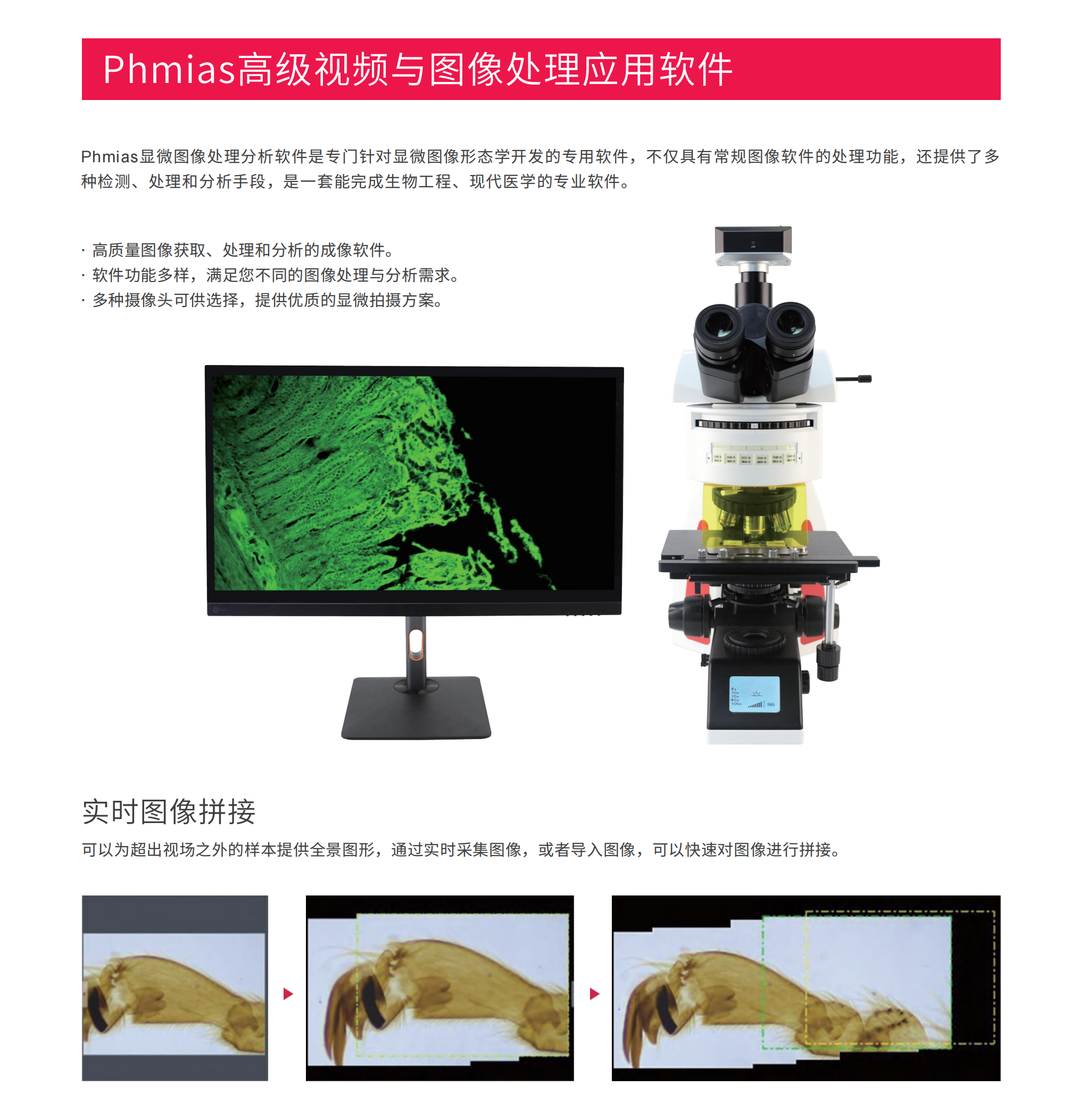 BMC600荧光_06.png