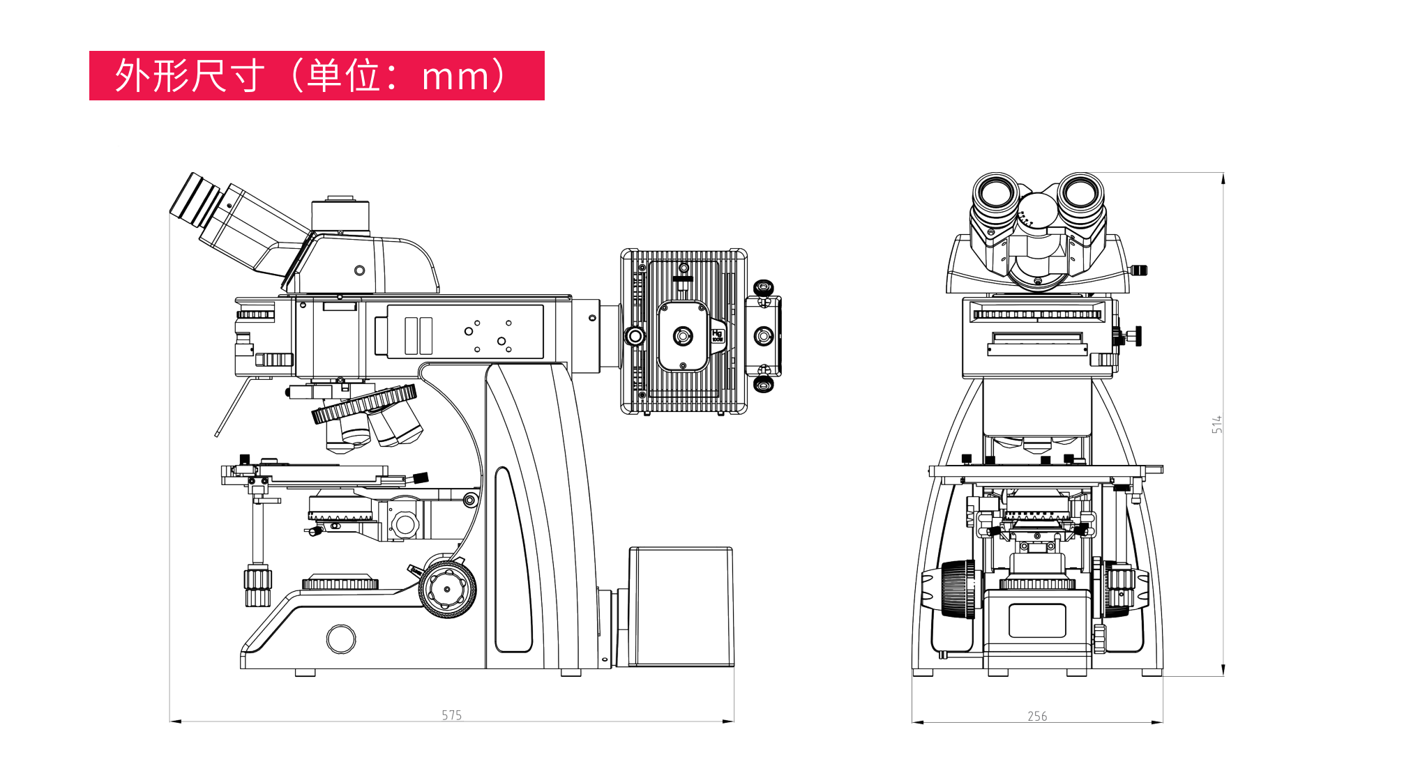 BMC600荧光_09.png