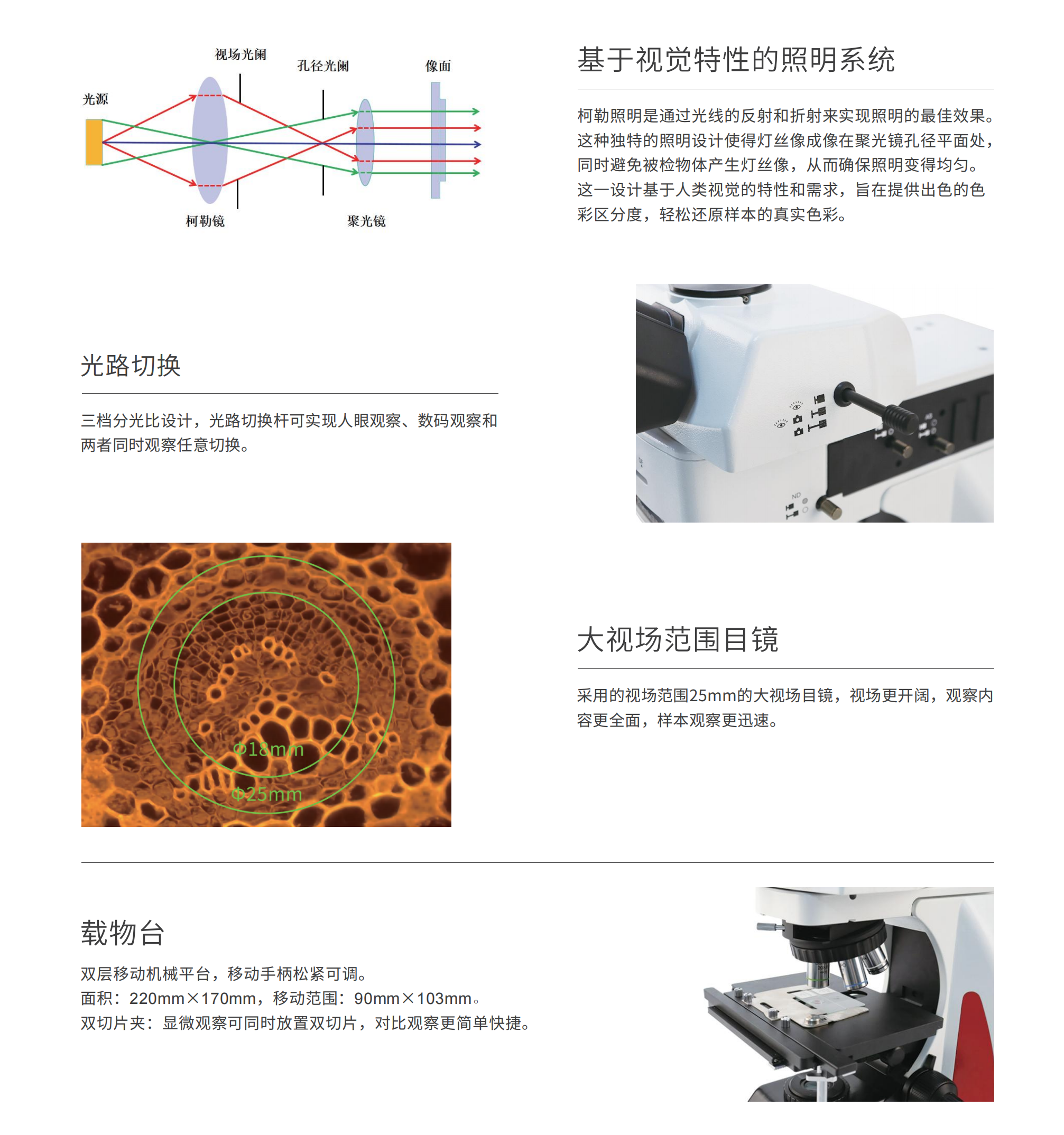 BMC600荧光_02.png