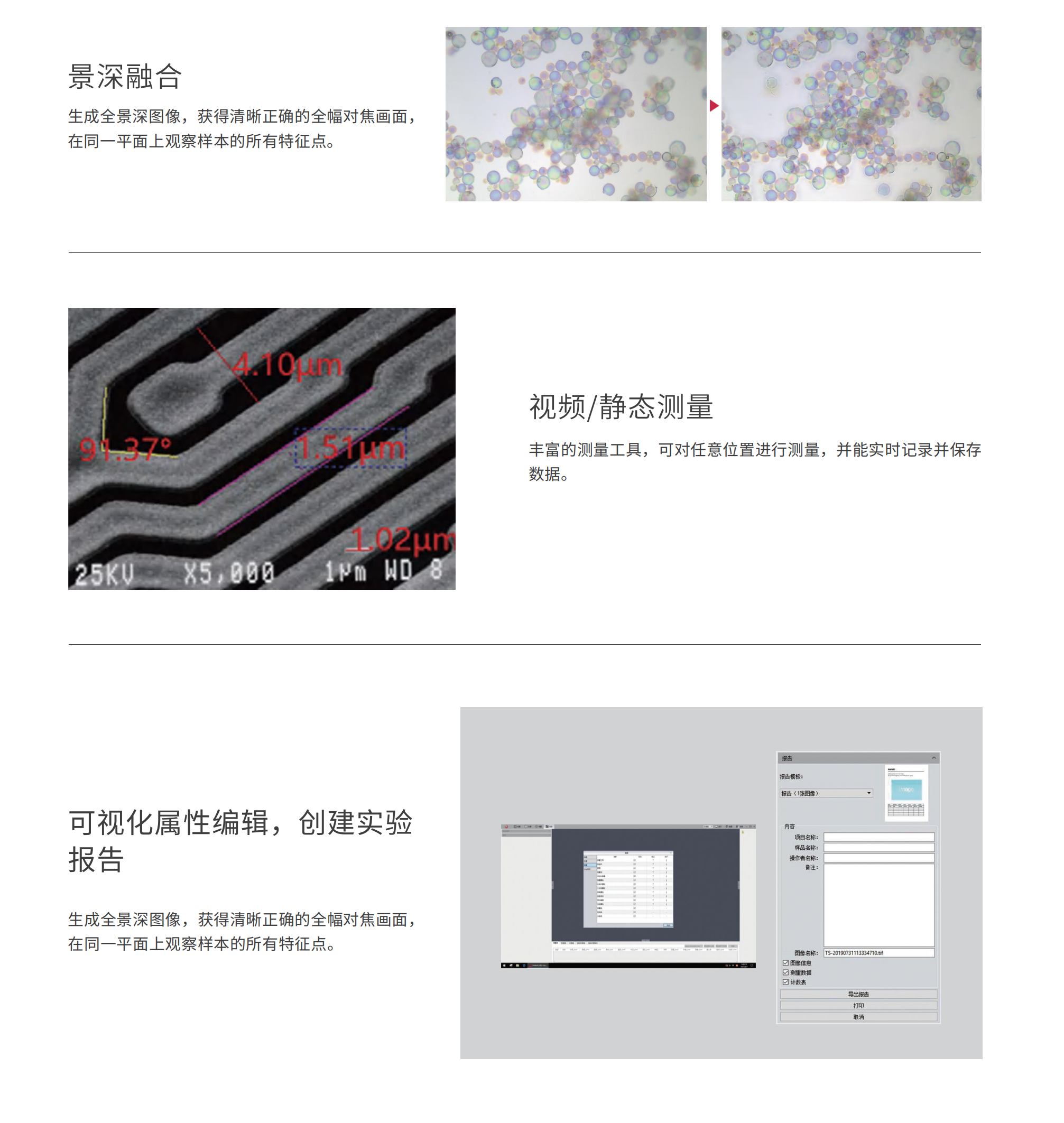 BMC600荧光_07.png