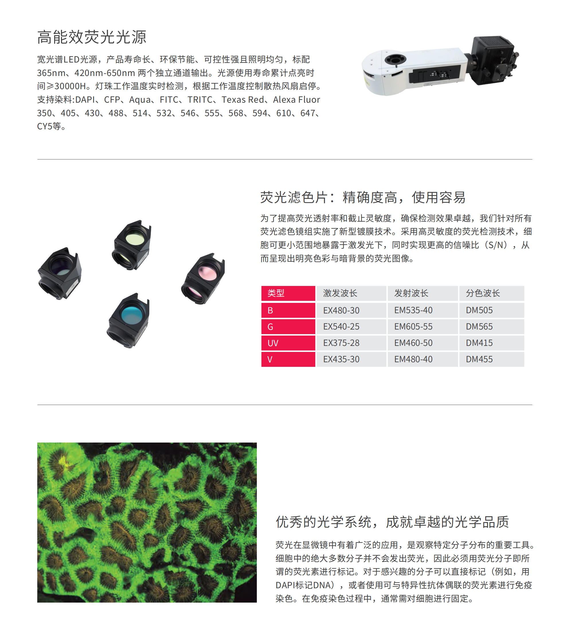 BMC600荧光_05.png