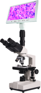 XSP-36TV Biological microscope parameters