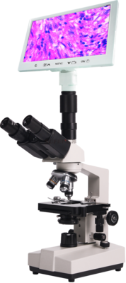 XSP-36TV Biological microscope parameters