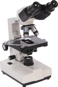 XSP-36 Biological microscope parameters