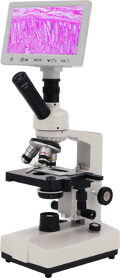 XSP-35TV Biological microscope parameters